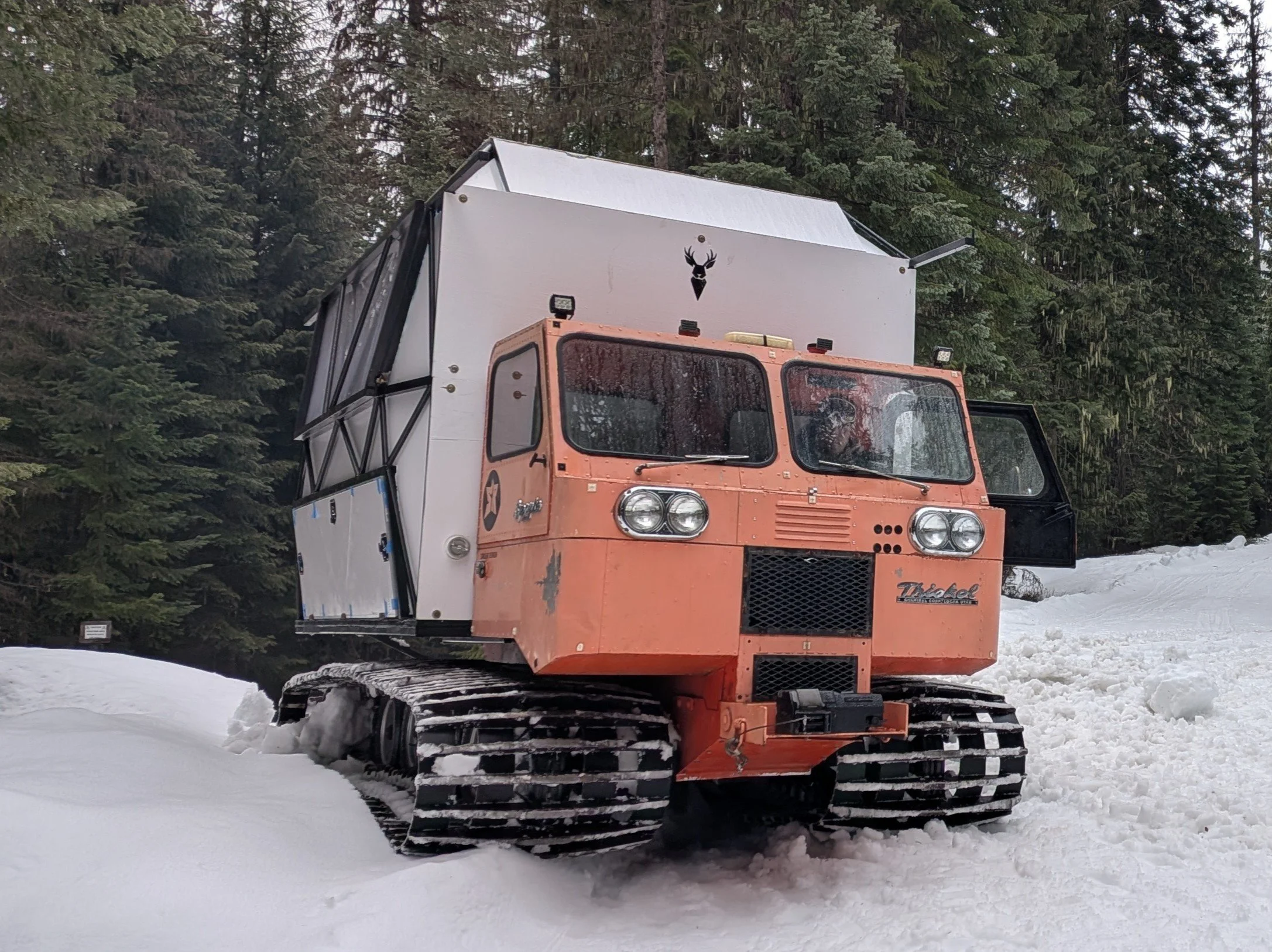 Disco Carrot adventure