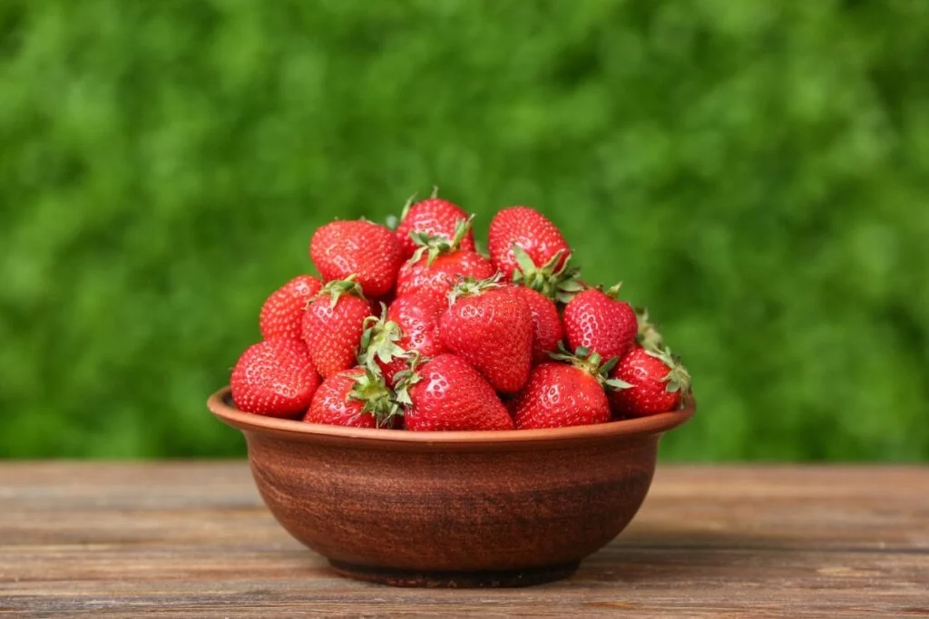Morango