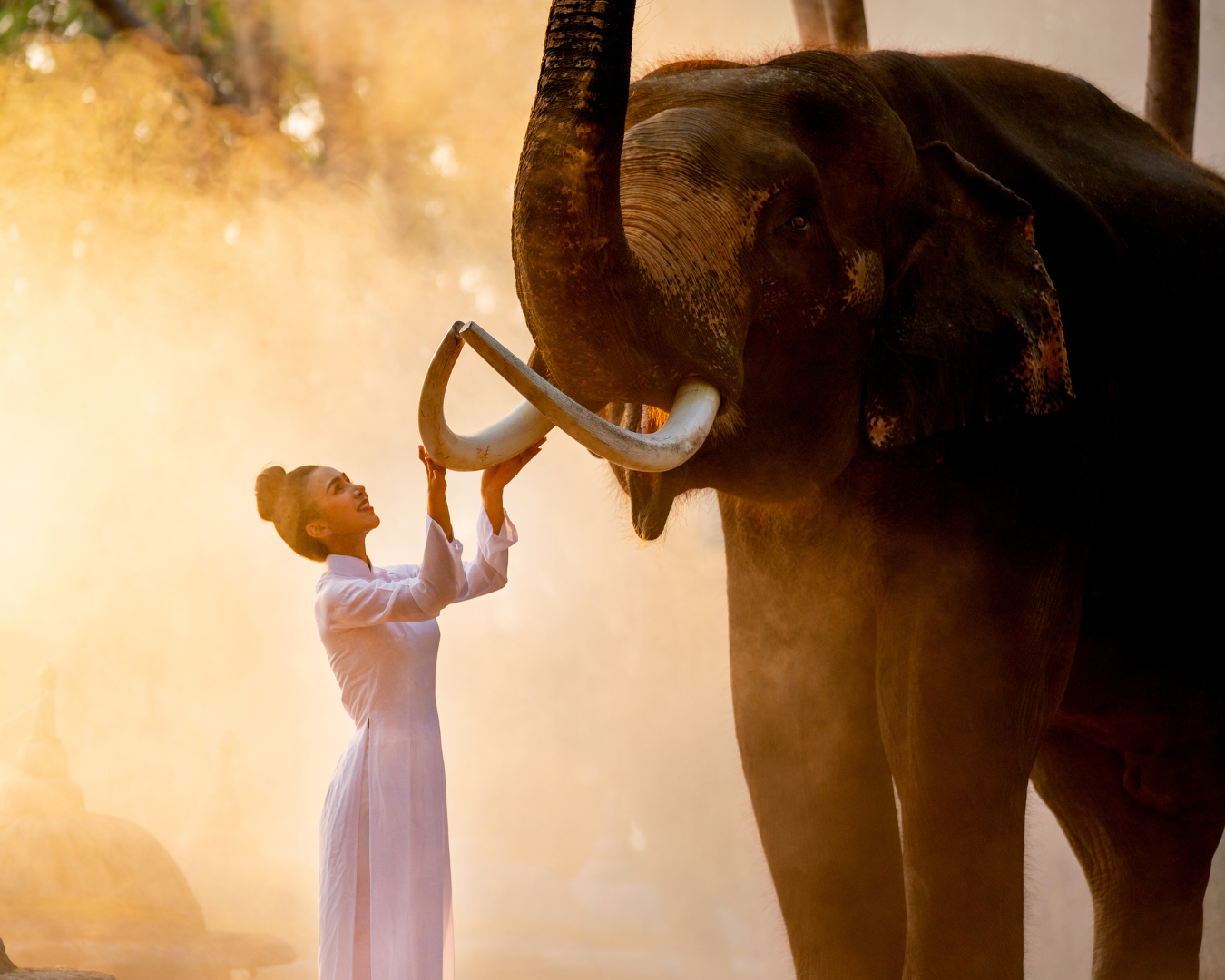 Sri Lanka Tourist Visa