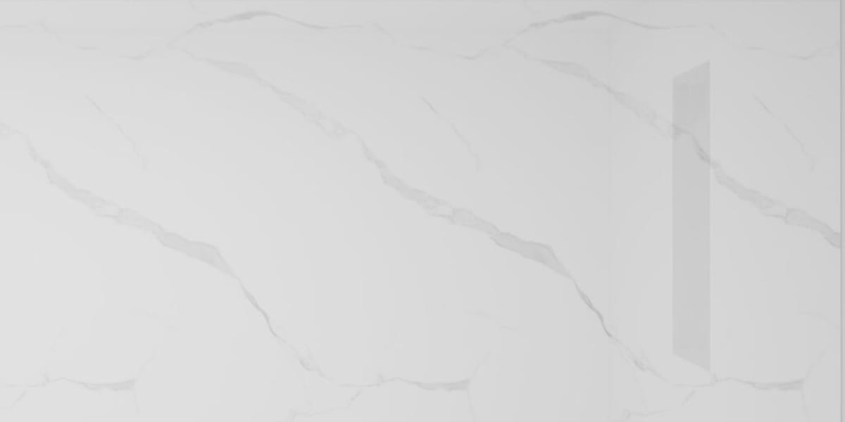 SS1217 (1 of 1)