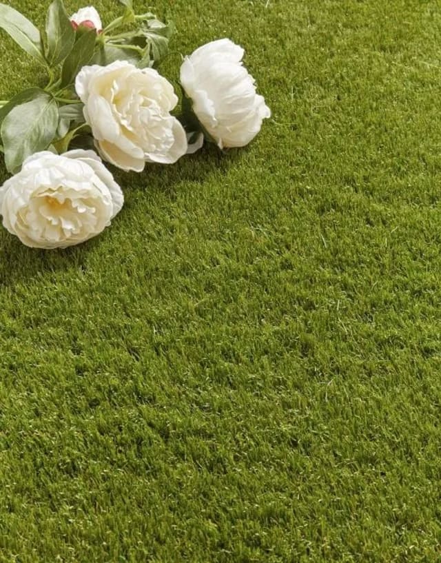 St Martin Turfs