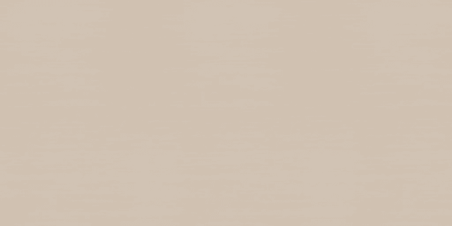 FS1101 Wood Grain