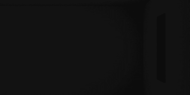 SS1010