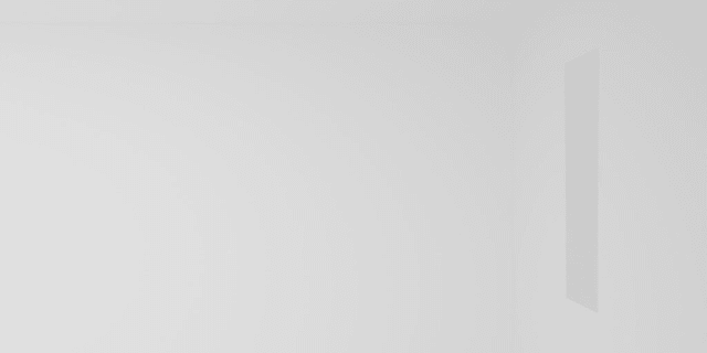 SS1011
