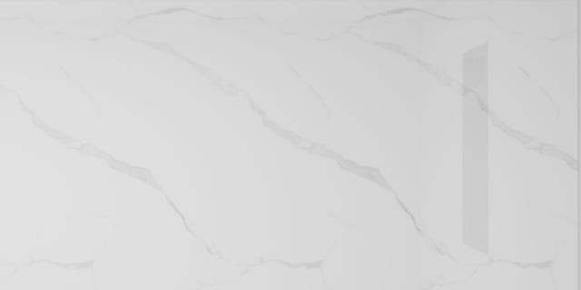 SS1217