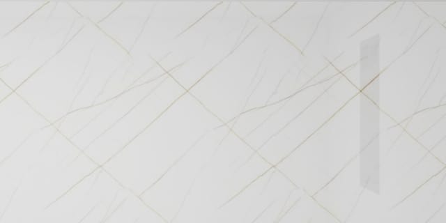 SS1219