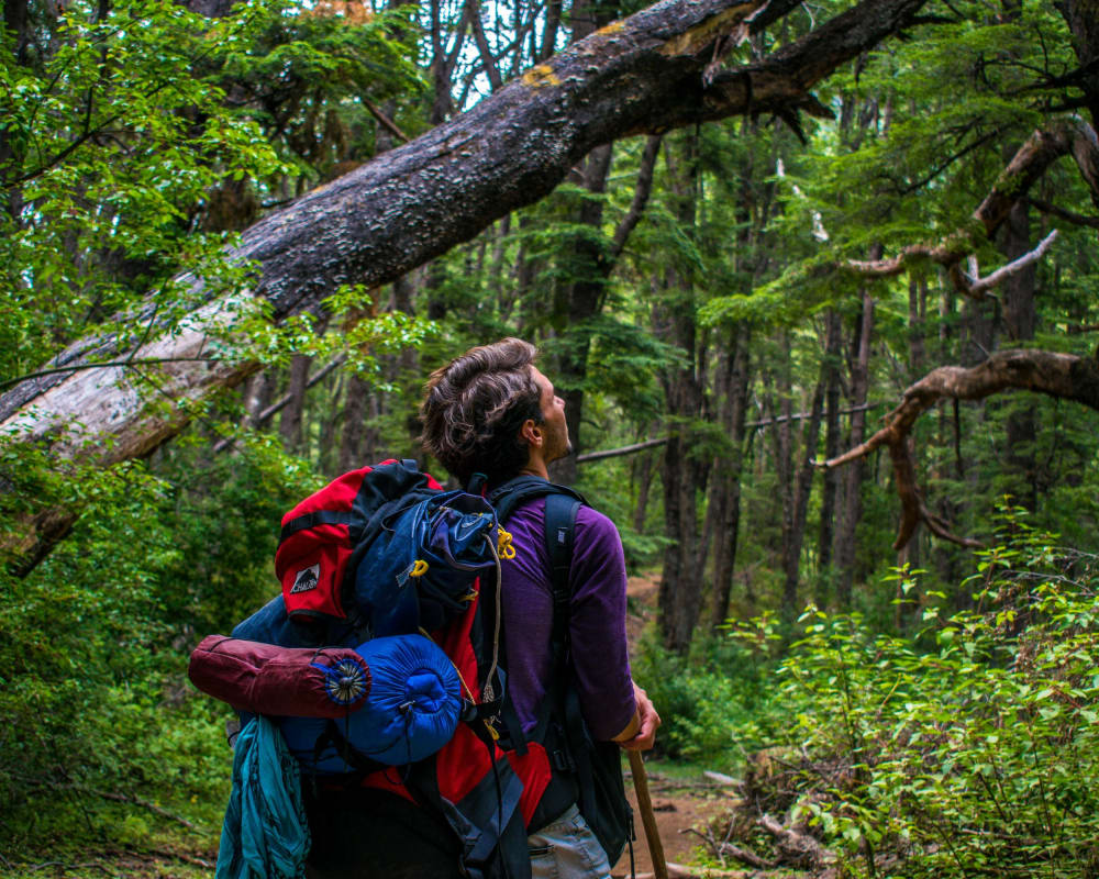 Mann mit einem Rucksack im Wald