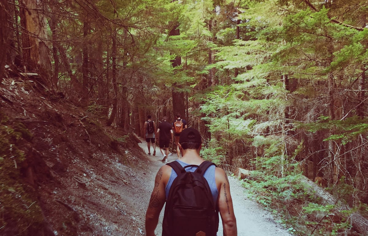 Gruppe von Reisepartnern wandern in einem grünen Wald an einem Abhang