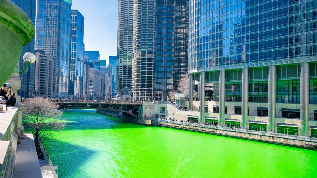 A river that has been dyed green in Chicago.