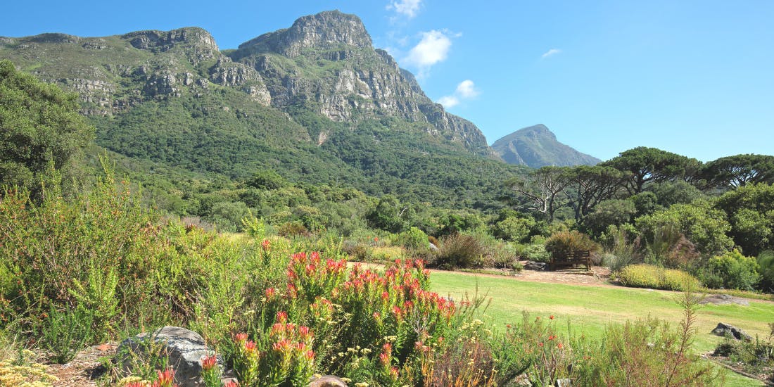 Kirstenbosch Botanic Gardens Südafrika