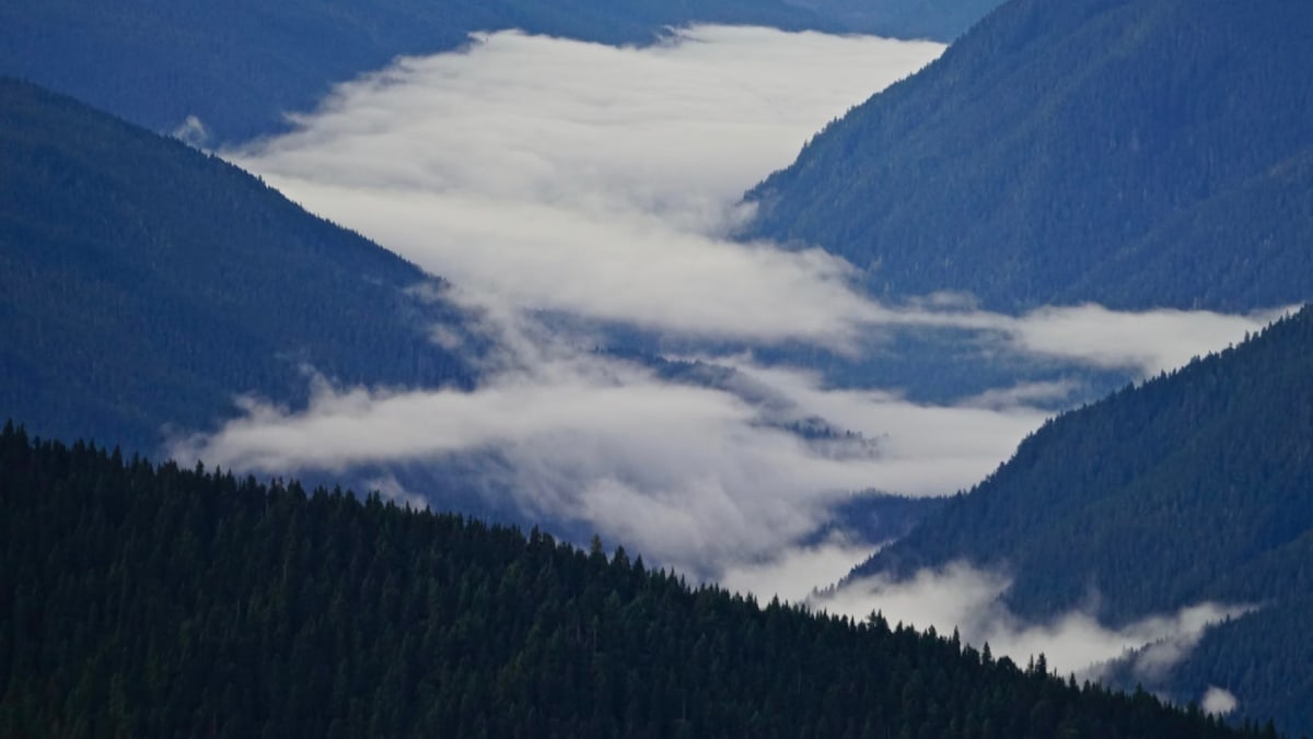 Misty Mountains in Olympic Nationalpark