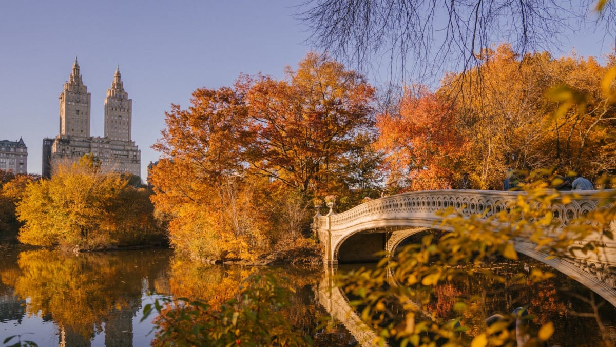Fall in Central Park