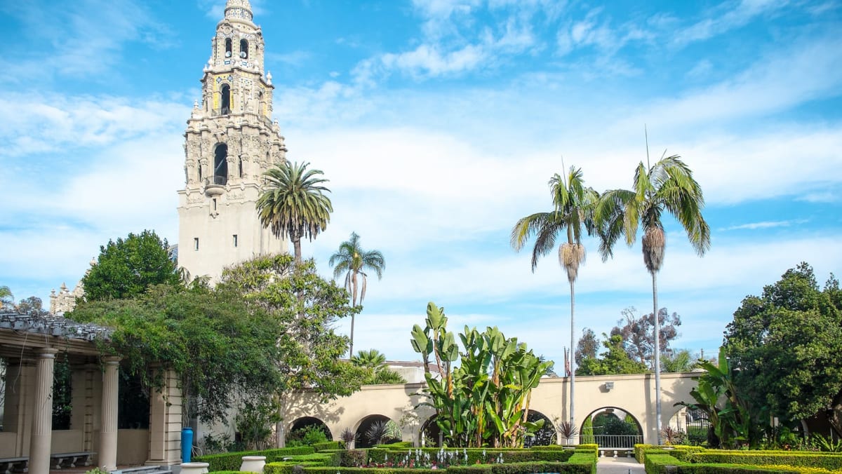 Palm Trees and fascinating architecture in San Diego, California