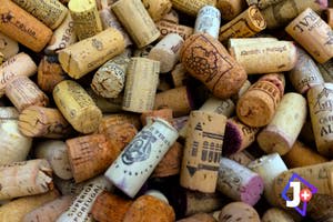 cork from the factory, Nova Cortica