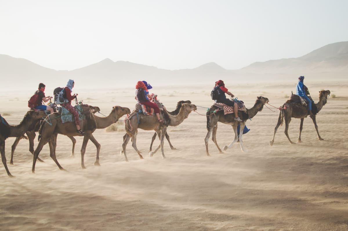 Camels with travelers in the desert.