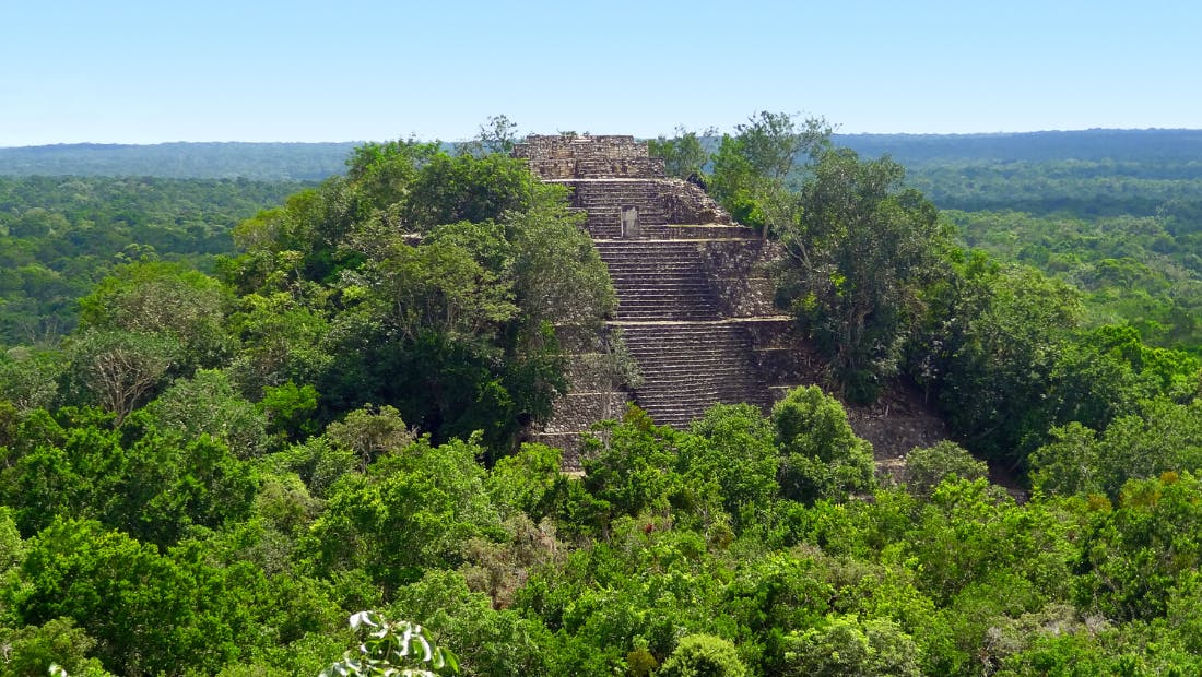 Calakmul ruins
