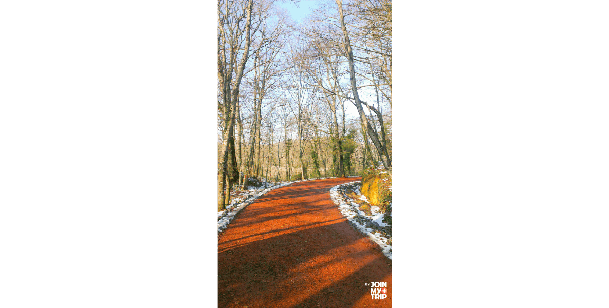 Belgrad Forest