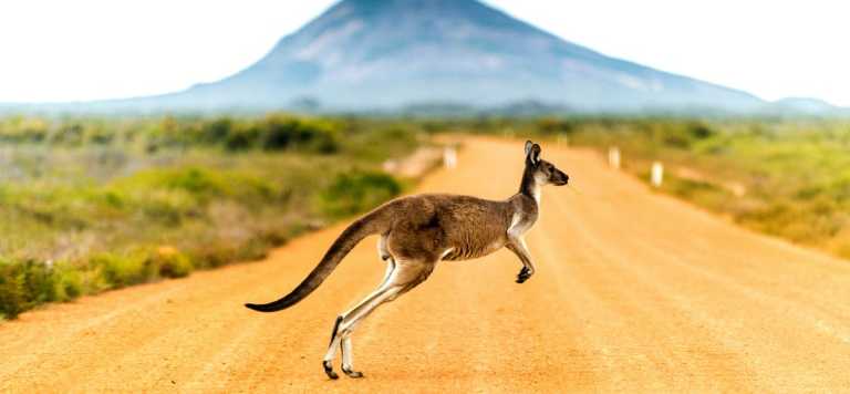 Find a Travel Buddy in Australia  - JoinMyTrip