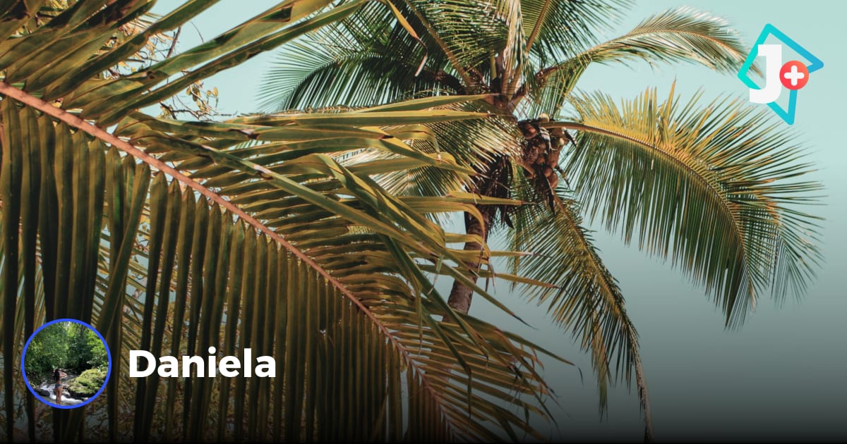 Discover Costa Rica Guided Tour to Arenal and Manuel Antonio with