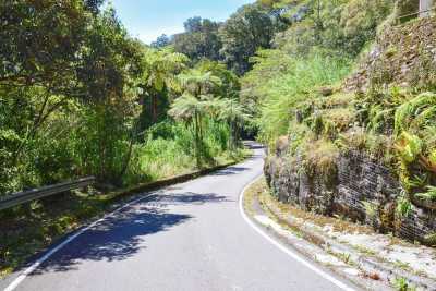 Neuseeland - Hunua Ranges Regional Park - Guided Motorcycle New Zealand Adventure Trip