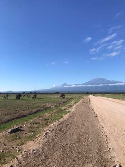 Kenia - Amboseli National Park - Kenyan Wonders Safari: All inclusive Maasai Mara, Lake Nakuru, Amboseli and Nairobi Adventure - 2