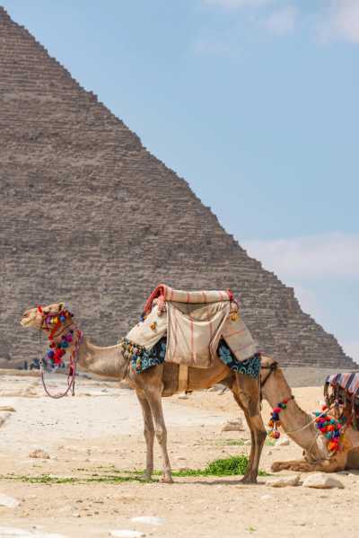 Egypt - Al Giza - Exploring the Beauty of Dahab & Cairo: A Journey through Desert and Sea - 7