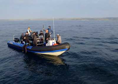 Südafrika - Mdumbi - 🇿🇦 South African Sardine Run Expedition - 1 Week INSIDE a Nature Documentary 🐬 - 5