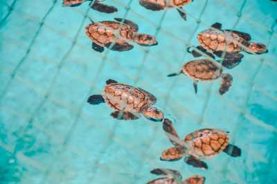 Malaysia - Port Dickson - Explore Amazing Kuala Lumpur, Malaysia with a Local and Travel Photographer - 2