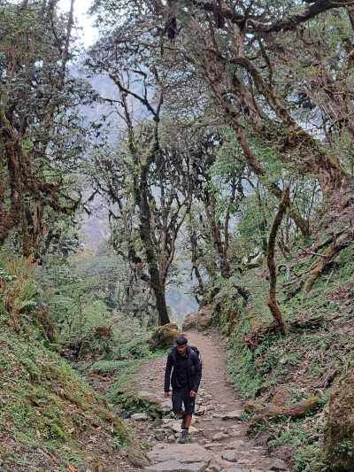 Nepal - Makalu Rural Municipality, Sankhuwasabha - Makalu Base Camp Trek: Journey to the Fifth Highest Peak - 1