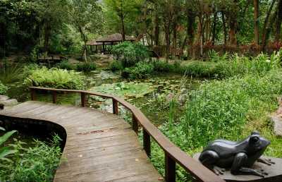 Taiwan - Jhihben National Forest Recreation Area - 🇹🇼 Taiwan by Rail: 16 Days of Cherry Blossoms, Culture, & Coastal Views 🏮 (PRIVATE ROOMS) - 2