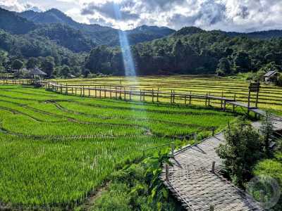 Thailand - Pai - 🇹🇭 Thailand XL Backpacking für Einsteiger & Alleinreisende 🎒 - Inseln 🏝️, Strände 🤿, Berge ⛰️ & Natur 🌺 - 1