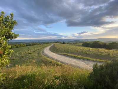 Italy - Orvieto - 🇮🇹Italy’s Green Heart💚, Slowly Savoured🍝🍷VII EDITION - ✨Luxury Stay🌿Wild Nature🏰Medieval Towns📍Traditions🤤Unique Flavors | Local Italian Coordinator +23 Group Trips hosted! - 3