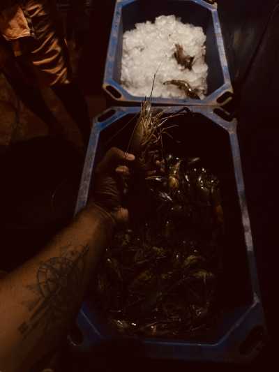 India - Cherai Beach - India, Kerala: Enjoy Beaches and Mountain Escapes in One Package - 11