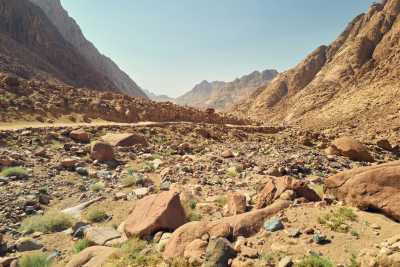 Egypt - Wadi El Weshwash - وادي الوشواش - Exploring the Beauty of Dahab & Cairo: A Journey through Desert and Sea - 6