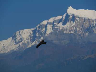 Nepal - Kagbeni mustang - 🇳🇵 Nepal Motorradreise (Privatzimmer!) 🏍️ mit der Royal Enfield durch Nepal incl. Rafting & Safari🗻🚣🦏🌴 - 4