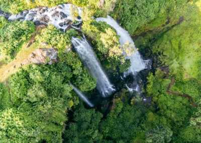 Uganda - Sipi - Uganda: Self drive 4x4 Land Cruiser 🦍🌿Gorilla & Rhino tracking! Coffee, Waterfalls & Hikes 🇺🇬 - 3