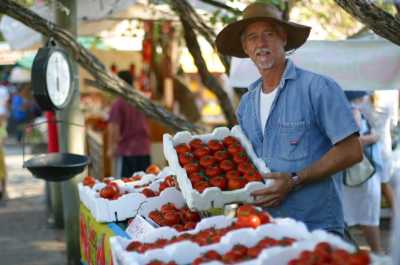 Australien - Port Douglas Markets - 🌴🪸 Daintree to Great Barrier Reef: A Co-Working Retreat in Port Douglas, Australia 🐠🇦🇺 - 2