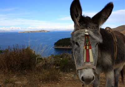 Bolivien - Isla del Sol - A 12-Day Journey Across Bolivia – Salt Deserts, Andean Peaks & Living Cultures