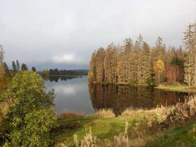Germany - Bad Harzburg - Wanderzeit im Harz mit Brocken-Tour, Deutschland - 2
