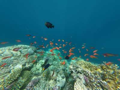 Egypt - Blue Hole of Dahab - Exploring the Beauty of Dahab & Cairo: A Journey through Desert and Sea - 8