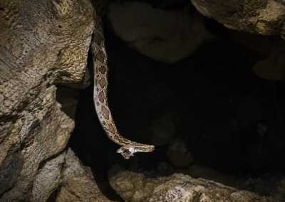 Mexico - Felipe Carrillo Puerto - Indiana Jones Snake cave in Yucatan, Mexico & Many More - 1