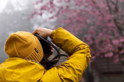 Taiwan - Alishan - 🇹🇼 Taiwan by Rail: 16 Days of Cherry Blossoms, Culture, & Coastal Views 🏮 (PRIVATE ROOMS) - 5