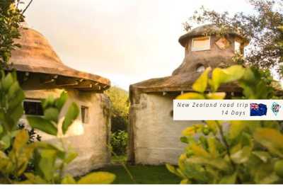 Neuseeland - Waikato District - 🇳🇿🗺 Entdecke die Geheimnisse Neuseelands 🗺🇳🇿 - 1