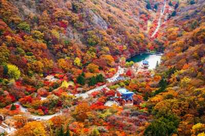 Korea, South - Naejangsan National Park - 🌊 🍂 Busan Reset: Where Fall Foliage Meets Coastal Sunsets 🌇 🇰🇷 - 2