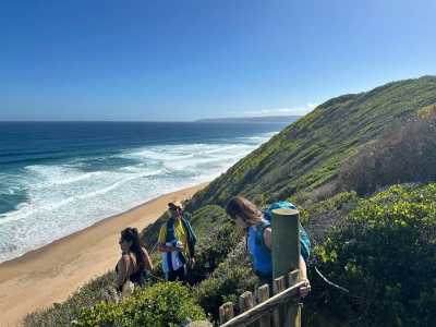 Südafrika - Wilderness - 🌞Ultimate 10-Day South Africa Road Trip🇿🇦Cape Town & The Garden Route – 🌊Adventure, Nature & Epic Vibes! - 7