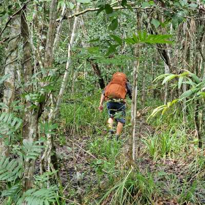Guatemala - Carmelitas - Into the Jungle: Volcanoes, Atitlán & El Mirador Trek - 8