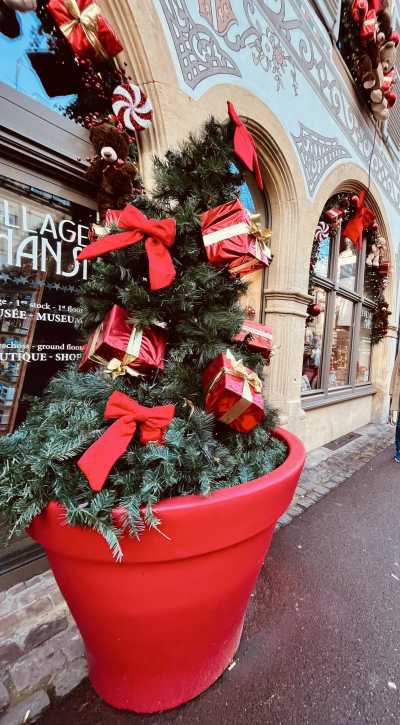 Westeuropa - Fancy & Healthy 3 Christmas Markets in Switzerland and France 🎄✨ - JoinMyTrip