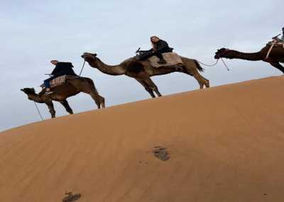 Marokko - Zagora - 🎬 Hollywood of Africa & Marrakech & Sahara Escape – 6 Days from Casablanca to the Desert 🐫✨ - 3
