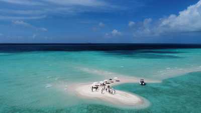 Malediven - ADDU Nurse Shark Sanctuary - Discover Maldives: Your Ultimate Adventure Escape! 🌊✨ - 2