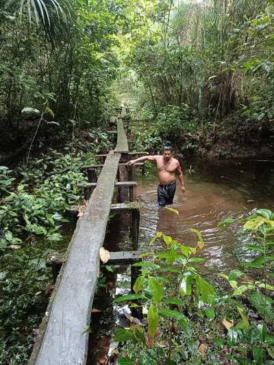Colombia - Amazonas - 7-tägige Survivalexpedition durch den Amazonas - 2